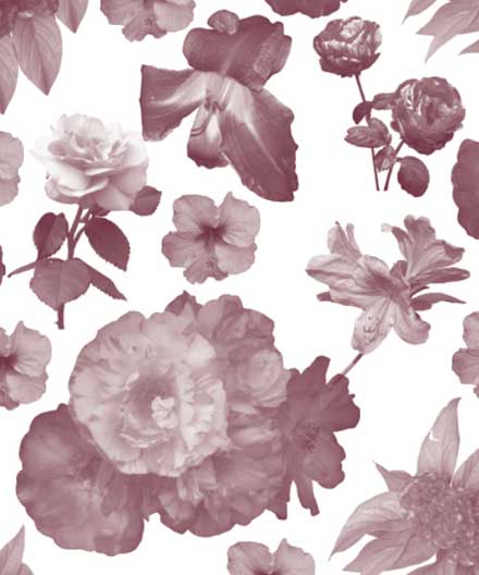 花をそのままブラシ化したphotoshopブラシセット 30 Free High Res Floral Brushes Clean Grunge Designdevelop