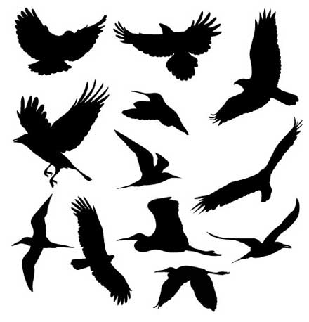 羽ばたく鳥のベクターデータセット Bb Free Vectors Birds In Flight