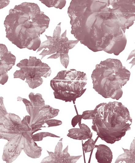 花をそのままブラシ化したphotoshopブラシセット 30 Free High Res Floral Brushes Clean Grunge Designdevelop