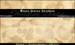stainsbrushes03
