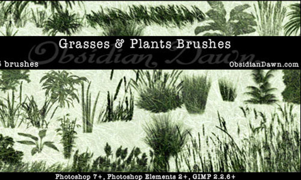 さまざまな草を表現できるphotoshopブラシセット集 A Collection Of Free Photoshop Grass Brush Sets Designdevelop