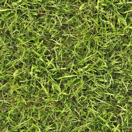 動きのある草や枯れ葉のテクスチャまとめ 25 Lovely Grass Texture