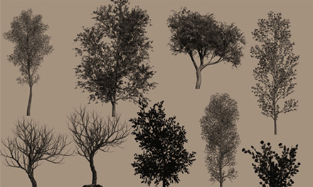 木の表現力がアップする 手軽に利用できるphotoshopブラシまとめ 12 A Collection Of Useful Tree Brushes For Photoshop Designdevelop