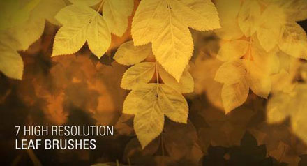 26470-7-High-Resolution-Leaf-Brushes