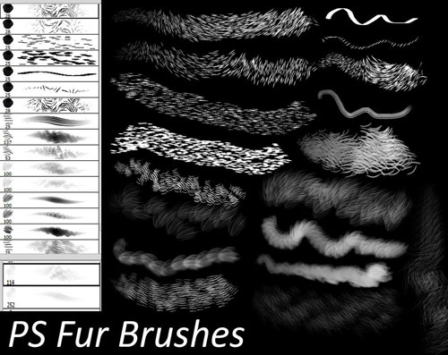 ふわふわの毛並みを描き出せるphotoshopフリーブラシまとめ 30 Fluffy Fur Photoshop Brushes For Free Designdevelop