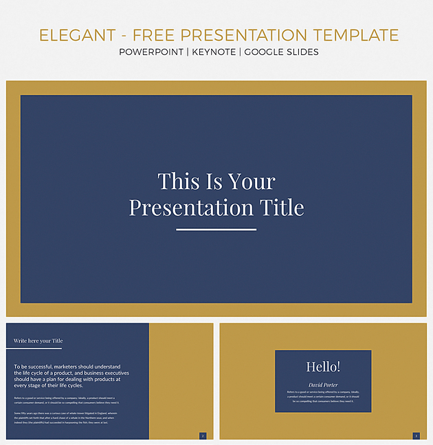 elegant-presentation-template1